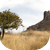 Big Bend