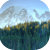 Mount Rainier