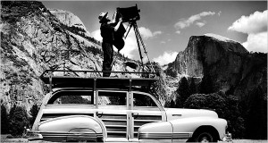 anseladams