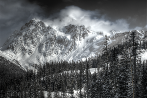 dsc_0026_27_28_29_30_tonemapped_bw_2 dsc_0026_27_28_29_30_tonemapped_bw_2