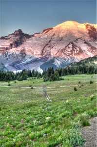 Mt Rainier at Dawn Mt Rainier at Dawn