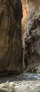 Vertical Space of the Narrows Vertical Space of the Narrows